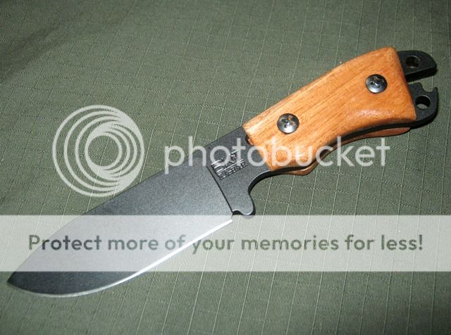 IMG_0980_zps9c48b992.jpg