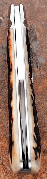 tbose-378staglannysclip-25.jpg
