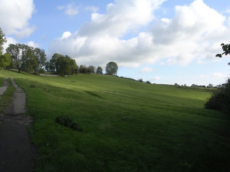 DSCN2908.jpg
