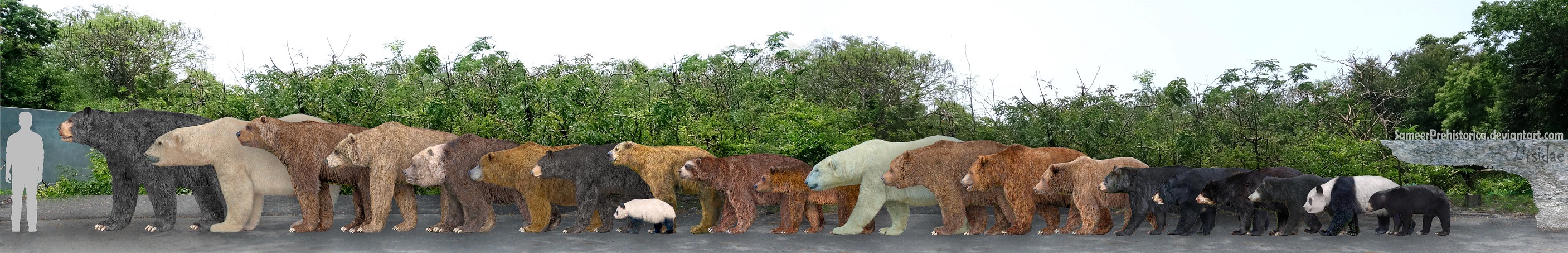 bears_by_sameerprehistorica-d5lkimm.jpg