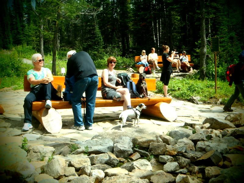 Banff2012183.jpg