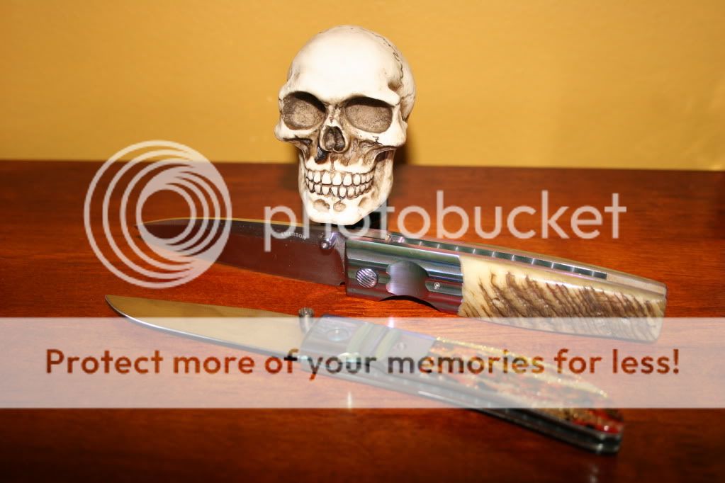 IMG_5294.jpg