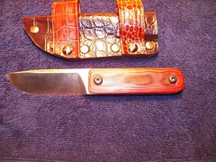 6330995074_08730901ab_m.jpg