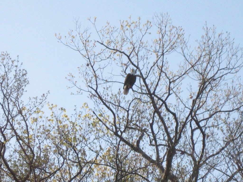 IMG_8185.jpg