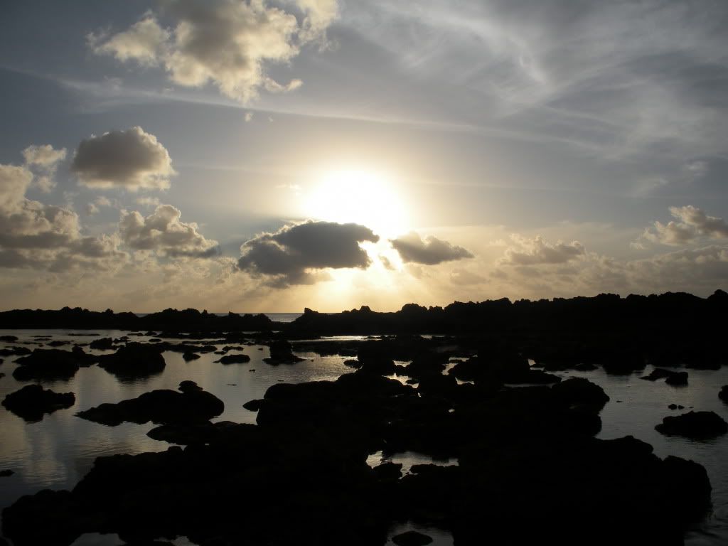DSCN0190.jpg