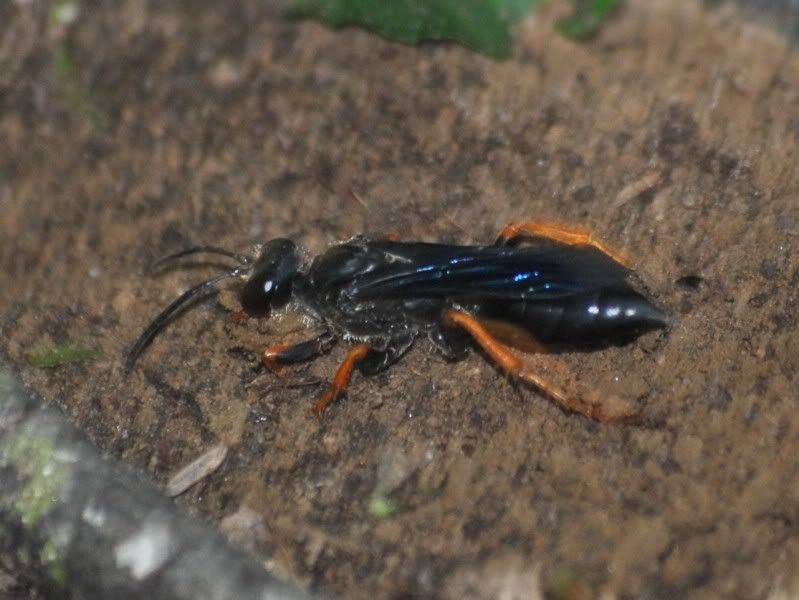 DSC_3992.jpg