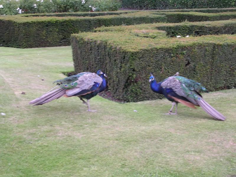 DSCN1459.jpg