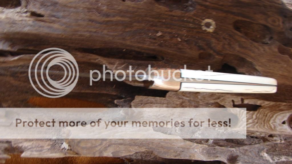DSC07293_zpse8a7bee7.jpg