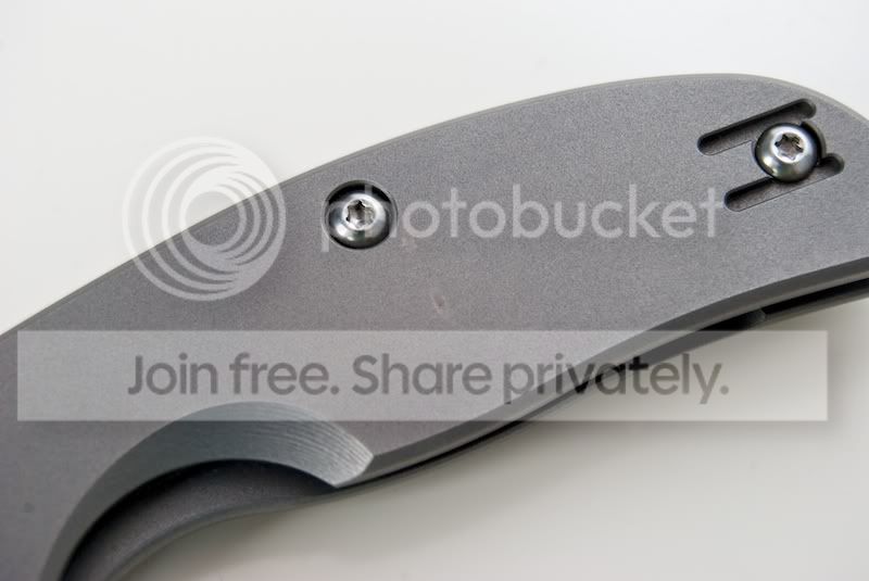 SpydercoSage2_03.jpg