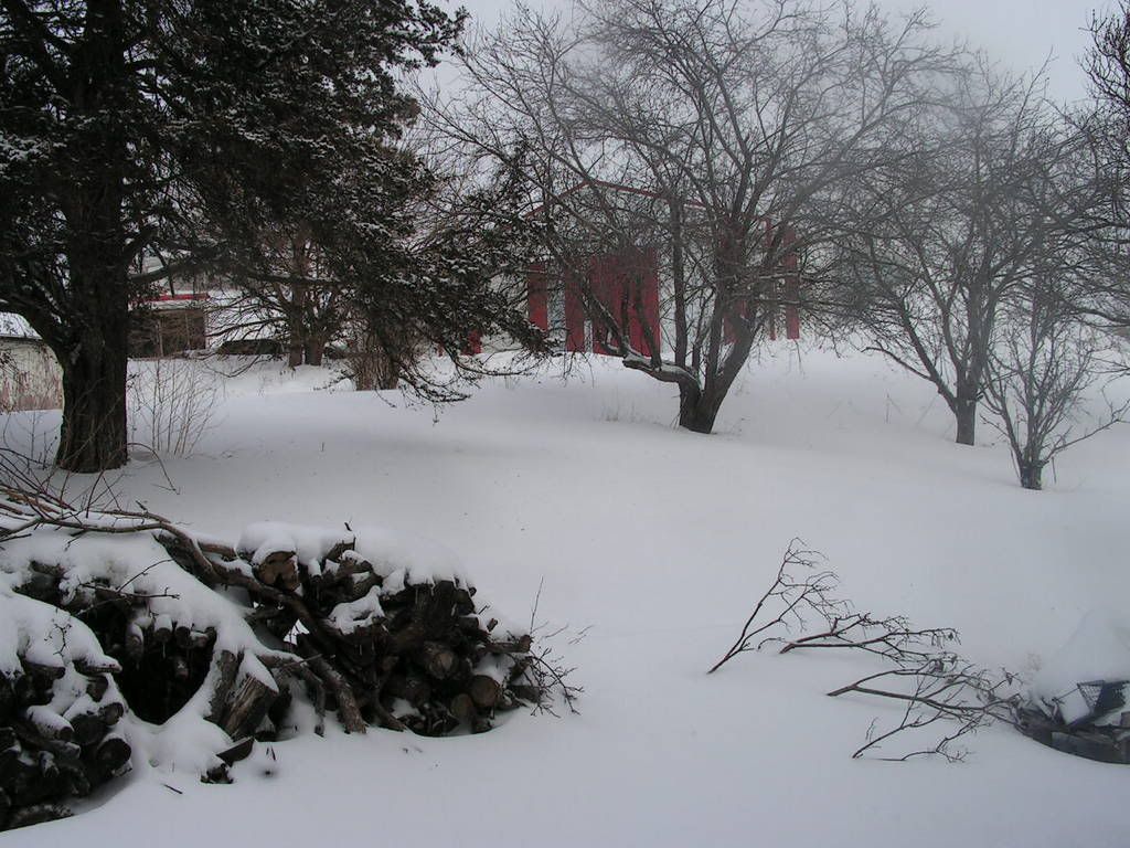 woodpileuptoshedssnowstorm.jpg