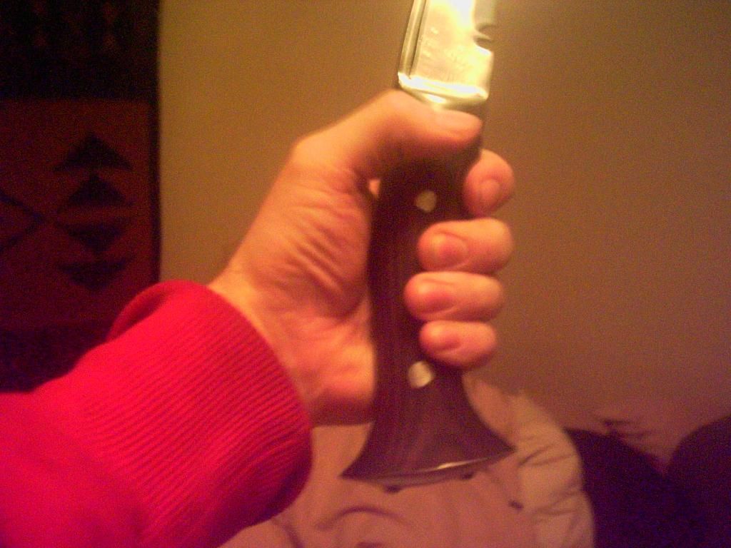 PICT0028_zps09221bfb.jpg