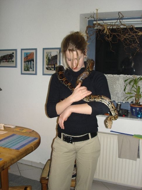 boa4.jpg