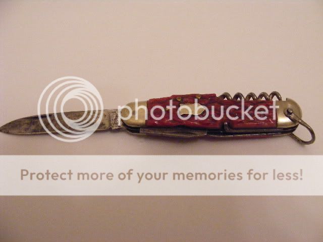 DSCF0331.jpg