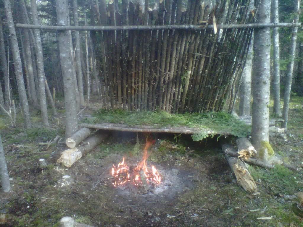 shelter.jpg