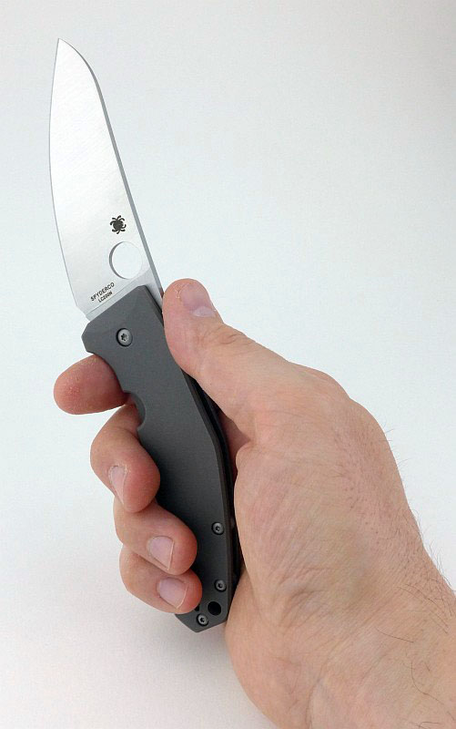 17-SpydieChef-in-hand-P1270095.jpg
