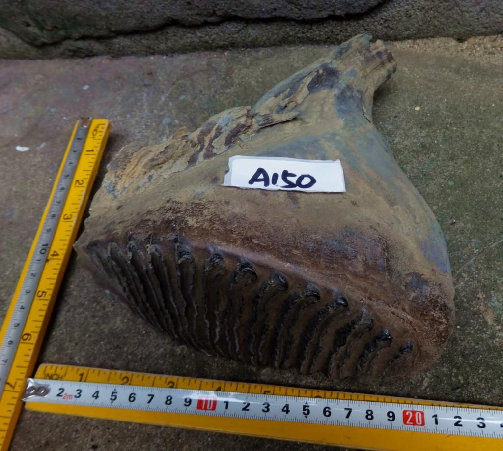 A150-3_zps6d85451f.jpg
