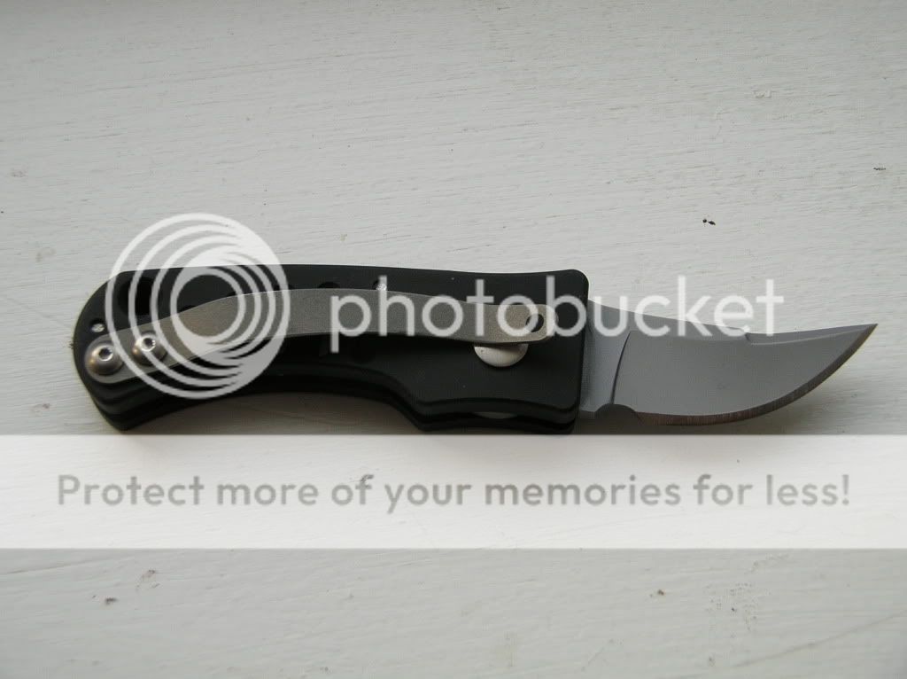 DSCN2354.jpg