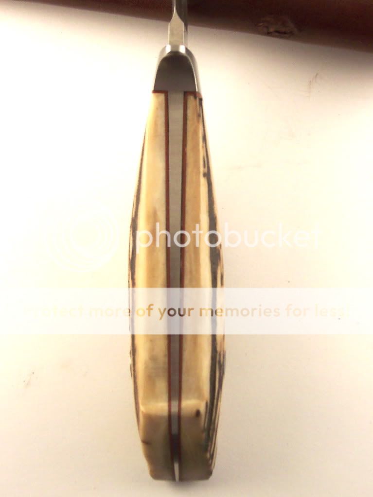 100_3776.jpg