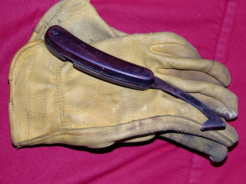 DSCF3188.JPG