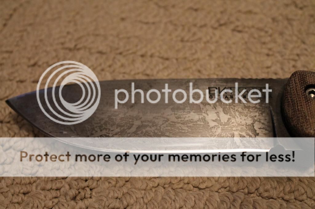 IMG_5174_zpsf549da24.jpg