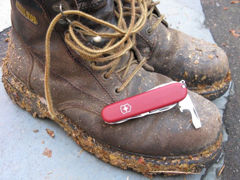 Fieldmasteryardwork.jpg