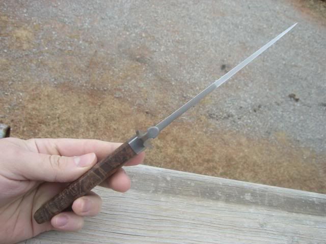 CIMG3858.jpg