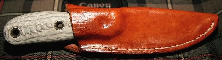 GW_sheath1.jpg