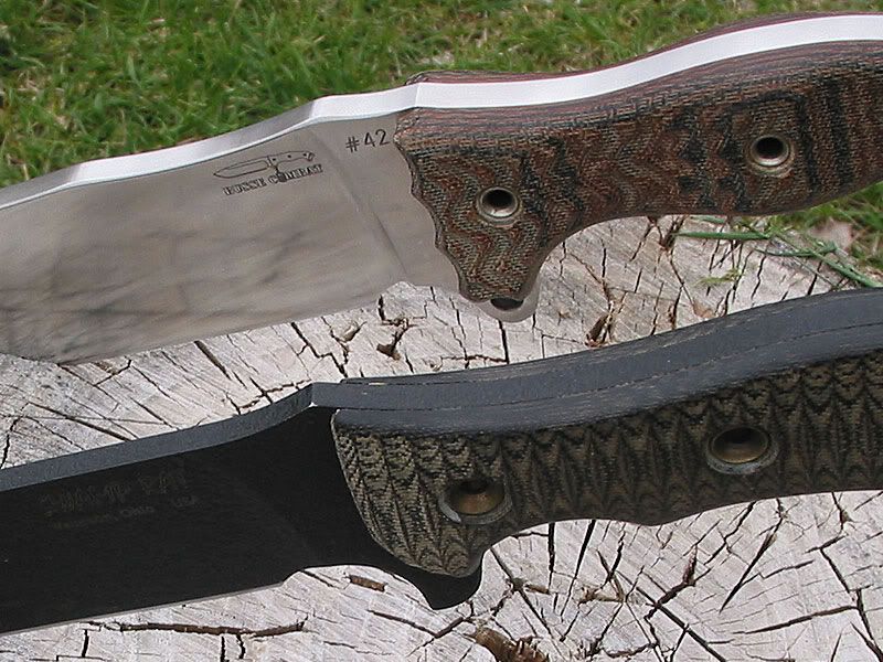 dacfd233.jpg