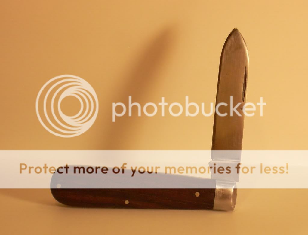 DSCN1640.jpg