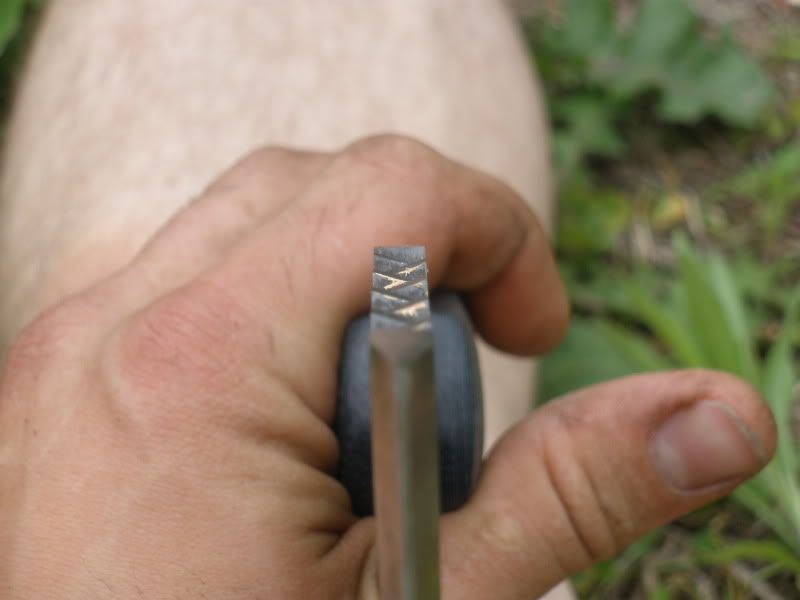 P6020199.jpg