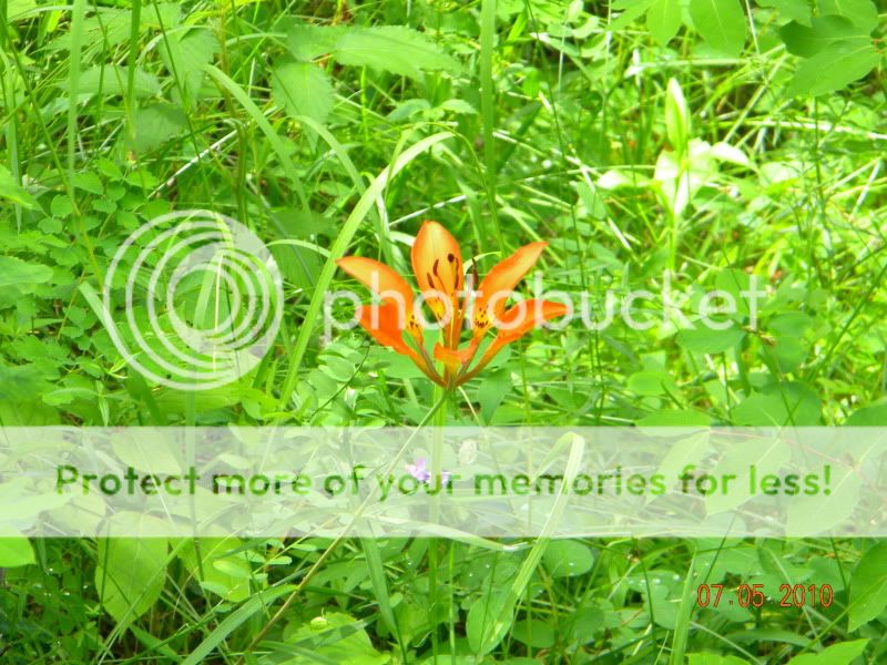 DSCN2498.jpg