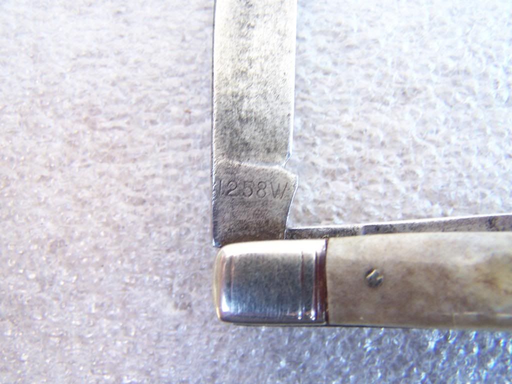 100_3389.jpg