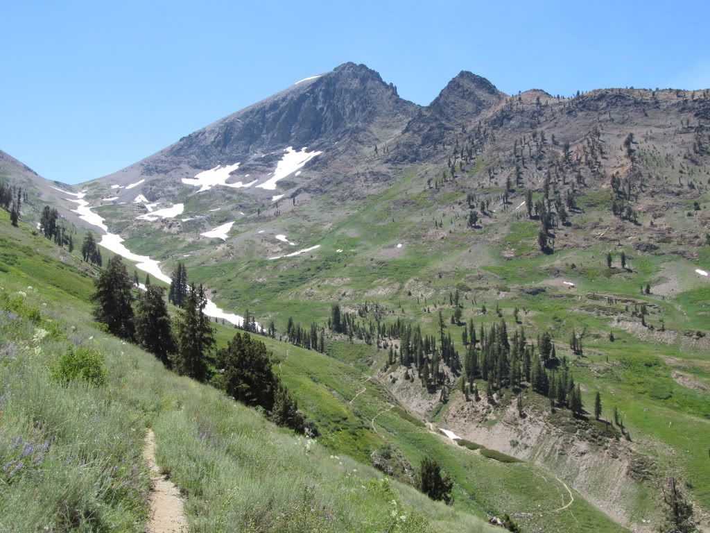 IMG_0513.jpg