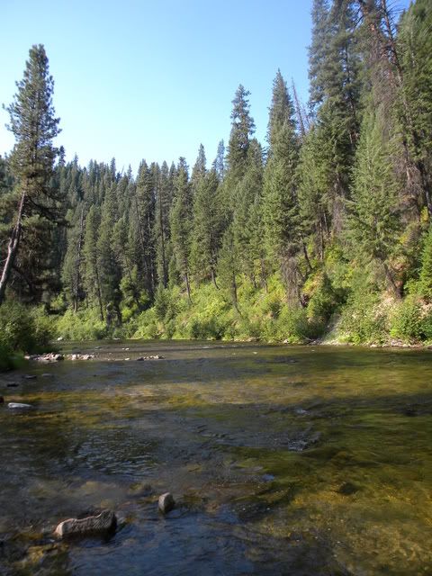 DSCN5527.jpg