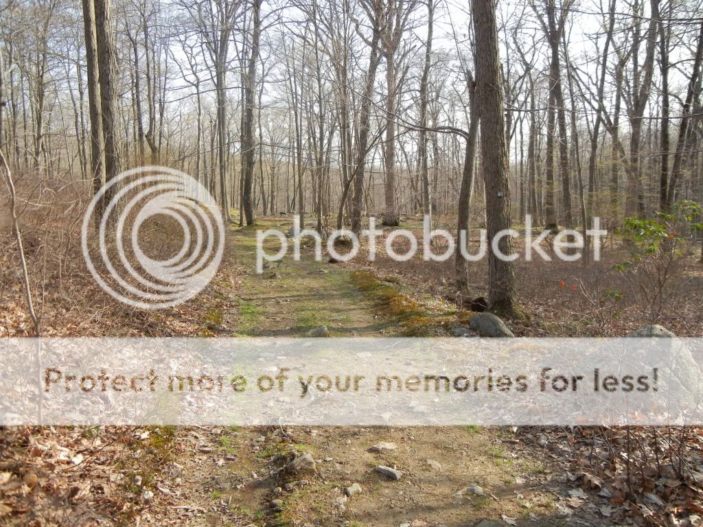 Newpics026-1.jpg