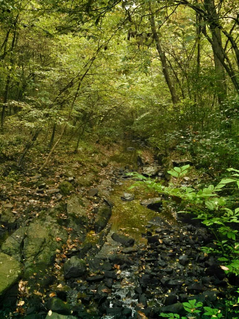 IMG_20141013_113549_6952.jpg