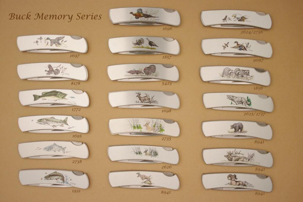 MemorySeries_zpse59ca0e8.jpg
