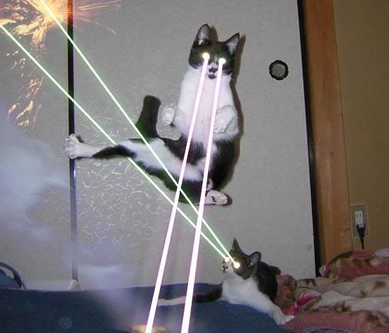 lazercat.jpg