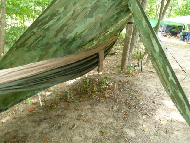 P1010168.jpg