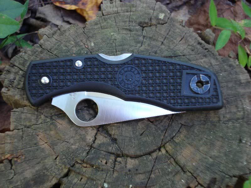 Delica3_2.jpg