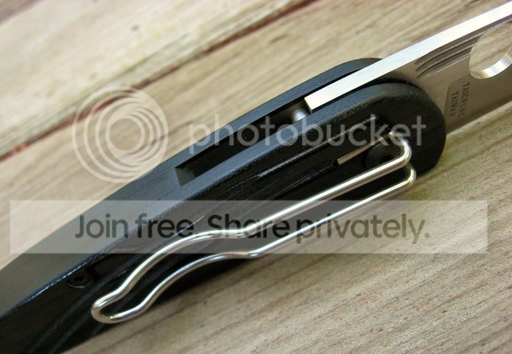 SpydercoDesHorn04.jpg