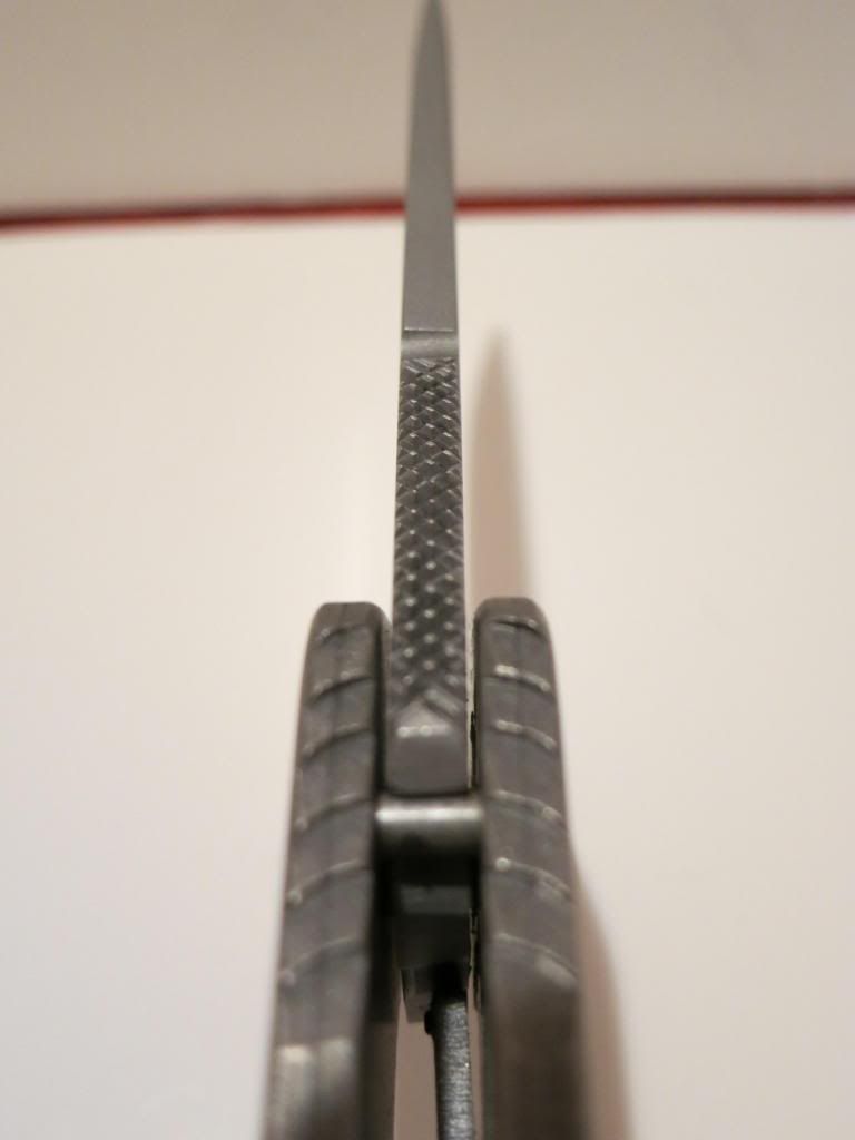 IMG_2214_zpsc5a72bc2.jpg