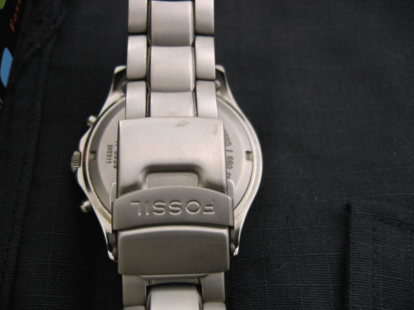 Fossil_Ti_01_04.gif