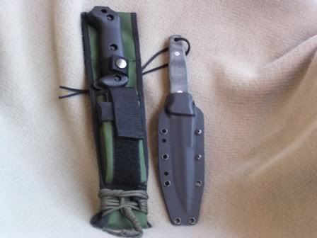 SpydercoChinook006.jpg