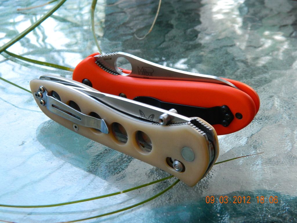DSCN3952.jpg