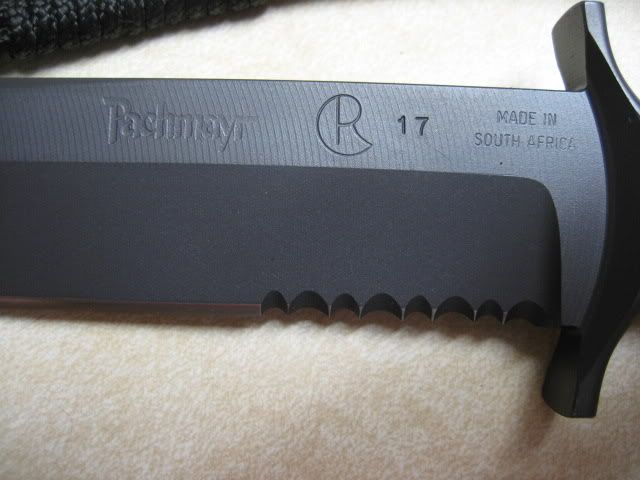 P3.jpg