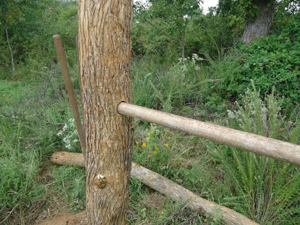 DSC00840_zpsoecgllqk.jpg