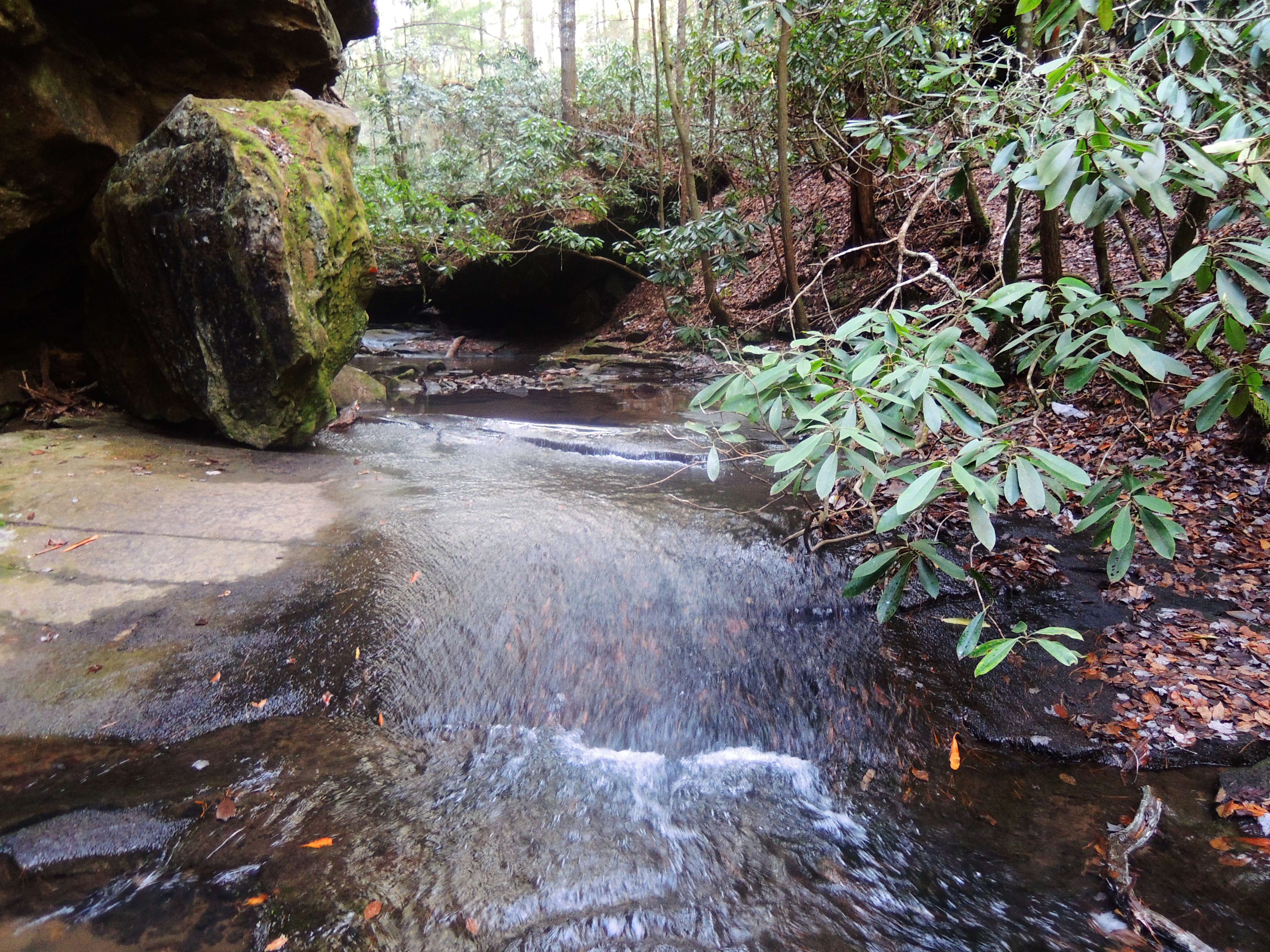 dscn5069w.jpg