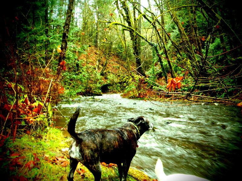 TodInletFall2012010.jpg