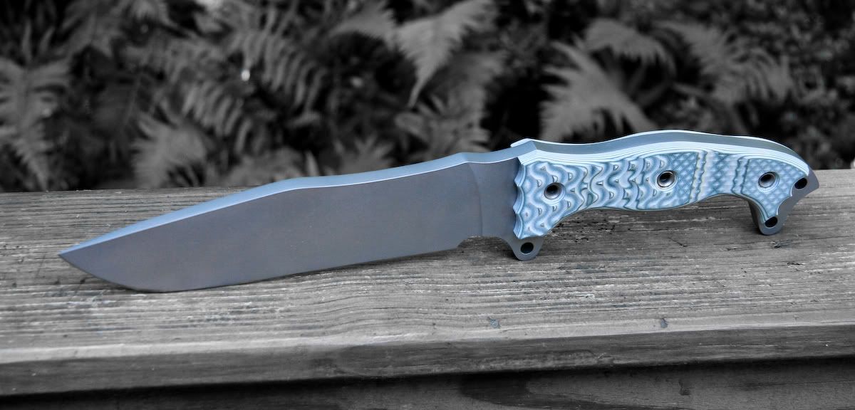 Busse_FSH-v3.jpg